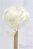 画像2: 8-9inch/ウィッグ/インチ　BJD　MJD　ドール用 I-25-10-26-018-KD-ZI (2)