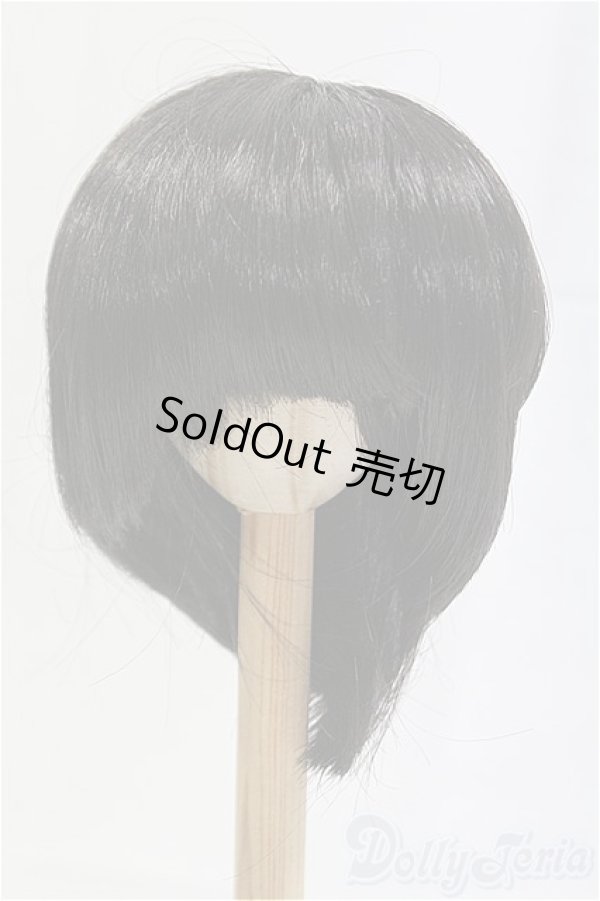 画像1: 8.5inch/ウィッグ/インチ　BJD　MJD　ドール用 I-25-10-26-068-KD-ZI (1)