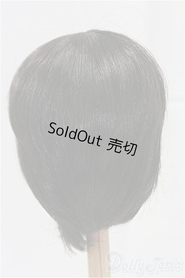 画像2: 8.5inch/ウィッグ/インチ　BJD　MJD　ドール用 I-25-10-26-068-KD-ZI (2)