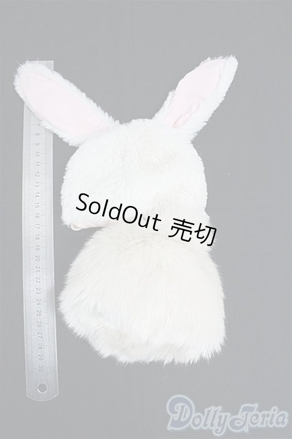 画像2: SDM＆MSD/OF:衣装セット　VOLKS製/1/4　40ｃｍ　BJD　MJD　衣装　ドール用 I-25-10-26-045-KD-ZI (2)