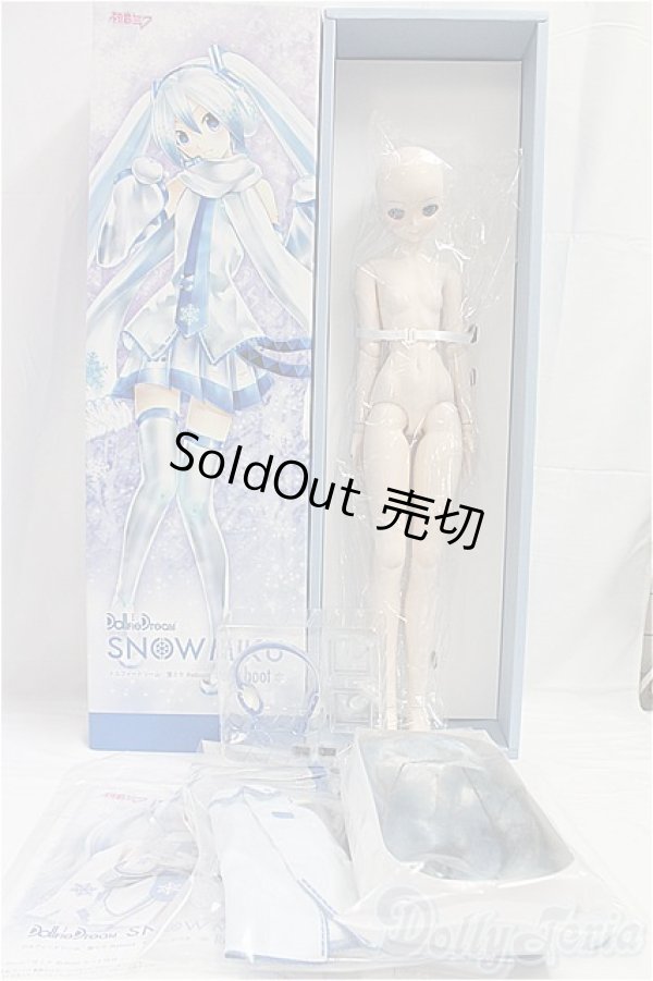 画像6: DD/雪ミク Reboot I-25-10-19-257-KD-ZI (6)