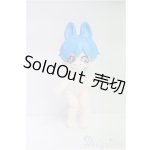 画像: その他ドール/6cm BJD I-25-11-09-154-KD-ZI