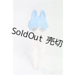 画像: その他ドール/6cm BJD I-25-11-09-153-KD-ZI