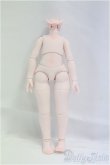 画像1: 18cm/ボディ I-25-11-09-151-KD-ZI (1)