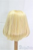 画像2: 9inch/ウィッグ　ボブ I-25-10-19-299-KD-ZI (2)
