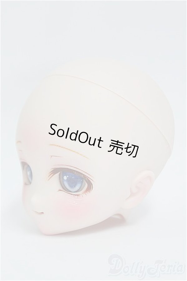 画像3: DD/DDH-27カスタムヘッド：PFMdoll様/BJD　球体関節人形 I-25-10-19-301-KD-ZI (3)