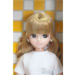 画像: リカちゃんキャッスル/リカちゃん 2023年1月 S月間ドール/BJD 球体関節人形 I-25-11-02-290-KD-ZI