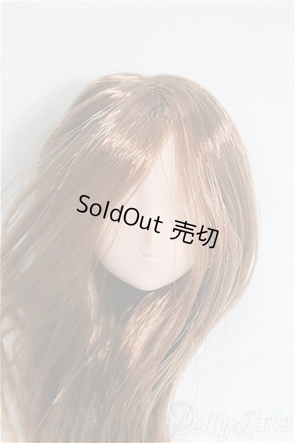 画像1: ボークス/カスタムヘアーBヘッド（2点セット） I-25-11-09-126-KD-ZI (1)