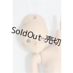 画像: ボークス/1/6ボディ（ドルフィープラス） I-25-11-09-120-KD-ZI