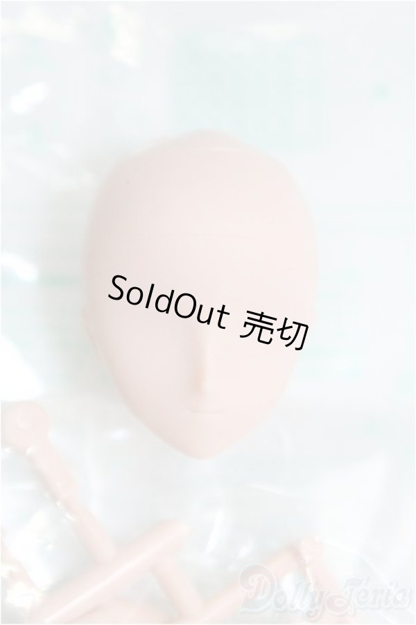 画像1: ボークス/1/6ボディ（ニューエクセレントベースモデル） I-25-11-09-119-KD-ZI (1)