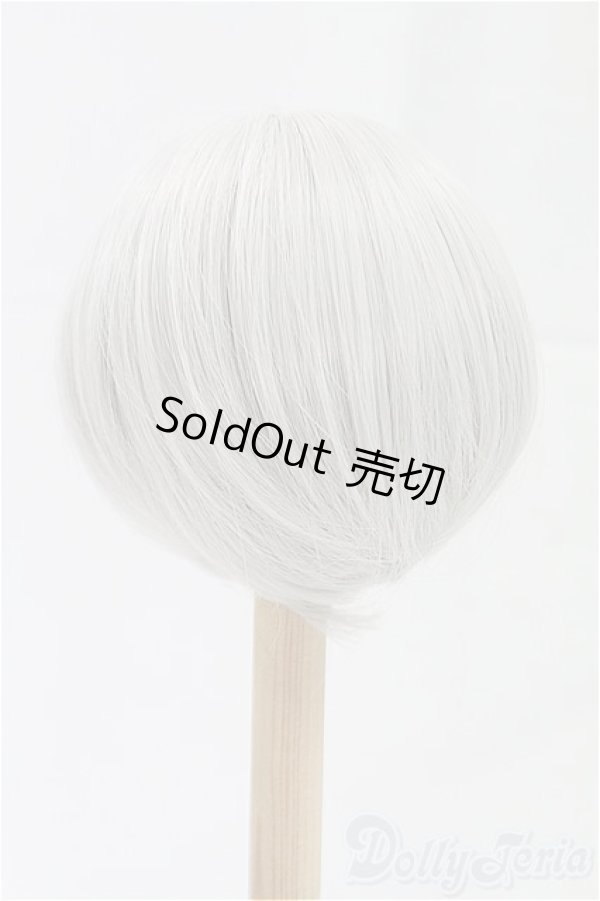 画像2: 8-9inch/ウィッグ/インチ　BJD　MJD　ドール用 I-25-10-19-322-KD-ZI (2)