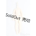 画像: azone/ ピコニーモボディ I-25-11-09-181-KD-ZI