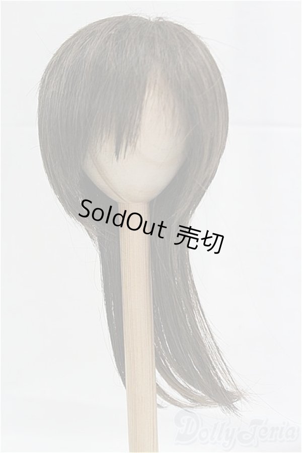 画像1: 9-10inch/ウィッグ/インチ　BJD　MJD　ドール用 I-25-10-26-284-KD-ZI (1)