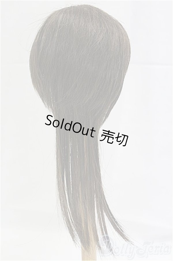 画像2: 9-10inch/ウィッグ/インチ　BJD　MJD　ドール用 I-25-10-26-284-KD-ZI (2)