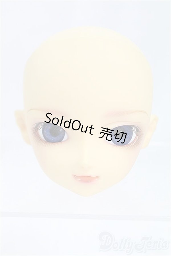 画像1: SD/F-13ヘッド/BJD　球体関節人形 I-25-10-26-305-KD-ZI (1)