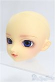 画像2: SD/F-13ヘッド/BJD　球体関節人形 I-25-10-26-305-KD-ZI (2)