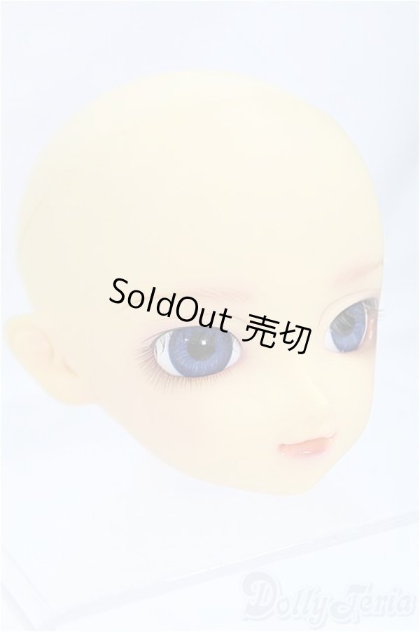 画像3: SD/F-13ヘッド/BJD　球体関節人形 I-25-10-26-305-KD-ZI (3)