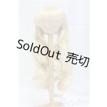 画像: 9-10inch/ウィッグ/インチ　BJD　MJD　ドール用 I-25-11-02-052-KD-ZI