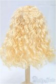 画像2: 6-7inch/ウィッグ/インチ　BJD　MJD　ドール用 I-25-11-02-060-KD-ZI (2)
