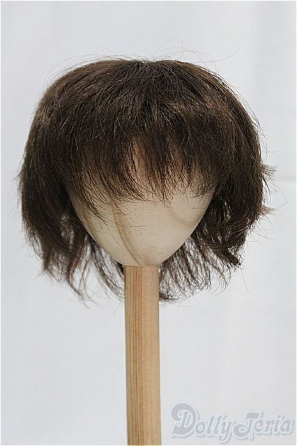 画像1: 9-10inch/ウィッグ/インチ　BJD　MJD　ドール用 I-25-11-02-078-KD-ZI (1)