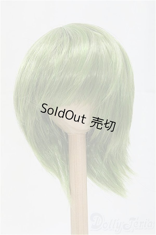 画像1: 9-10inch/ウィッグ/インチ　BJD　MJD　ドール用 I-25-11-02-079-KD-ZI (1)