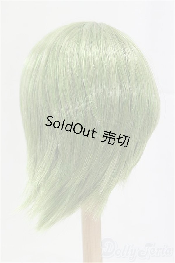 画像2: 9-10inch/ウィッグ/インチ　BJD　MJD　ドール用 I-25-11-02-079-KD-ZI (2)