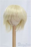 画像1: 9-10inch/ウィッグ/インチ　BJD　MJD　ドール用 I-25-11-02-080-KD-ZI (1)