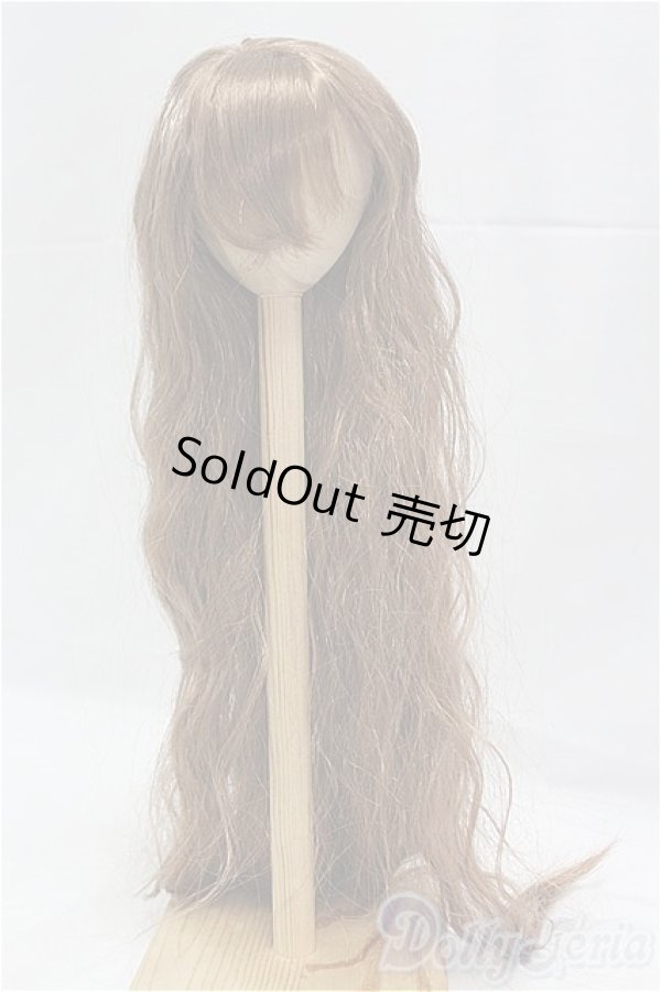 画像1: 9-10inch/ウィッグ/インチ　BJD　MJD　ドール用 I-25-11-02-081-KD-ZI (1)