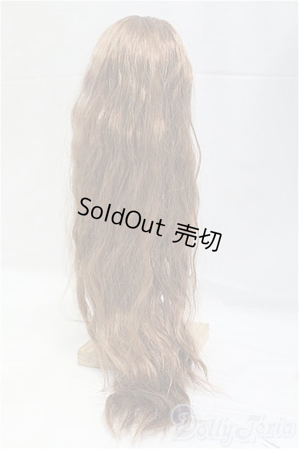 画像2: 9-10inch/ウィッグ/インチ　BJD　MJD　ドール用 I-25-11-02-081-KD-ZI (2)