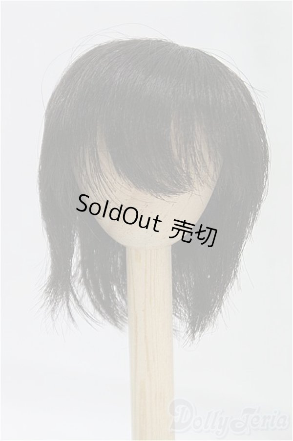 画像1: 6-7inch/ウィッグ/インチ　BJD　MJD　ドール用 I-25-11-02-088-KD-ZI (1)