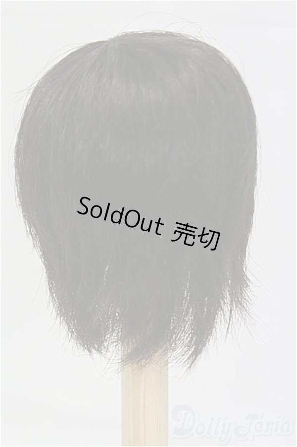 画像2: 6-7inch/ウィッグ/インチ　BJD　MJD　ドール用 I-25-11-02-088-KD-ZI (2)