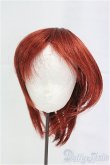 画像1: 8-8.5inch/ウィッグ/インチ　BJD　MJD　ドール用 I-25-11-02-133-KD-ZI (1)