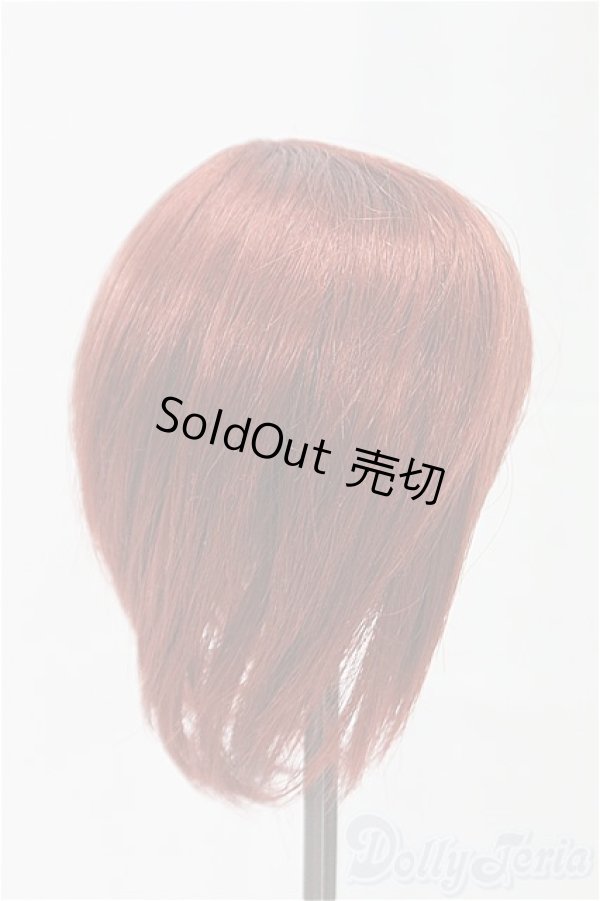 画像2: 8-8.5inch/ウィッグ/インチ　BJD　MJD　ドール用 I-25-11-02-133-KD-ZI (2)