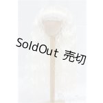 画像: 9-10inch/ウィッグ/インチ BJD MJD ドール用 I-25-11-23-020-KD-ZI
