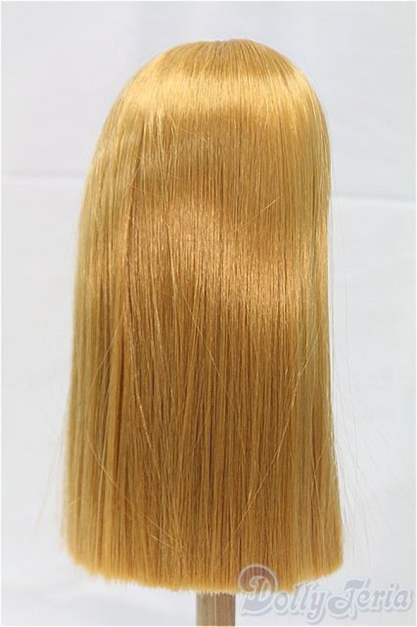 画像2: 9-10inch/ウィッグ/インチ　BJD　MJD　ドール用 I-25-11-23-023-KD-ZI (2)