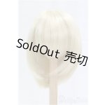 画像: 9-10inch/ウィッグ/インチ　BJD　MJD　ドール用 I-25-11-23-024-KD-ZI