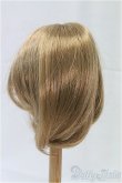 画像2: 9-10inch/ウィッグ/インチ　BJD　MJD　ドール用 I-25-11-23-035-KD-ZI (2)