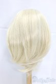 画像2: 9-10inch/ウィッグ/インチ　BJD　MJD　ドール用 I-25-12-21-057-KD-ZI (2)