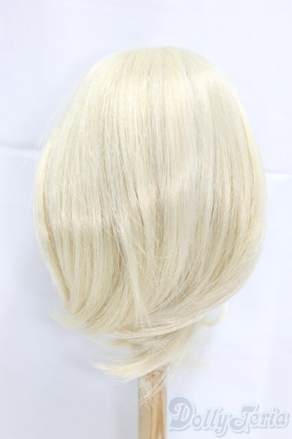 画像2: 9-10inch/ウィッグ/インチ　BJD　MJD　ドール用 I-25-12-21-057-KD-ZI (2)