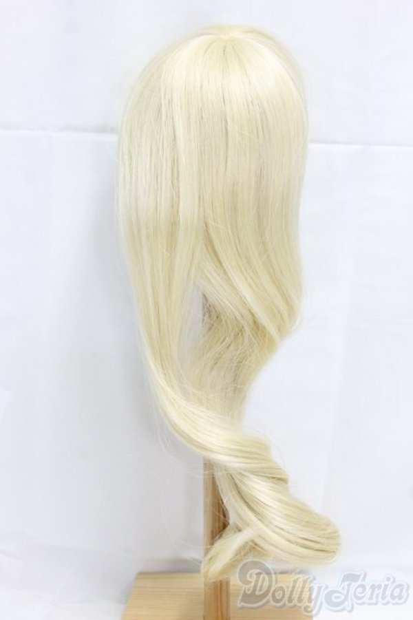 画像2: 9-10inch/ウィッグ/インチ　BJD　MJD　ドール用 I-25-12-21-060-KD-ZI (2)