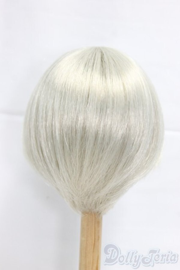 画像2: 9-10inch/ウィッグ/インチ　BJD　MJD　ドール用 I-25-12-21-058-KD-ZI (2)