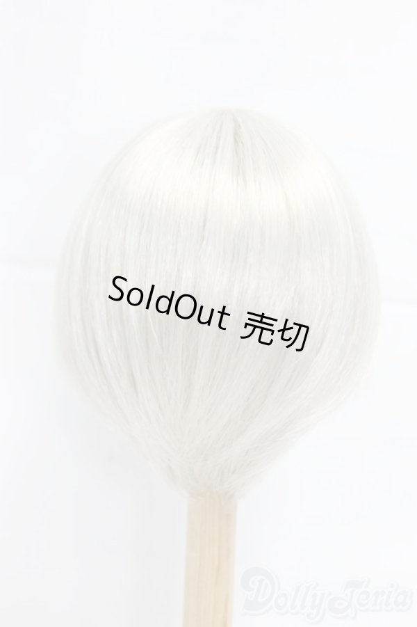 画像2: 9-10inch/ウィッグ/インチ　BJD　MJD　ドール用 I-25-12-21-058-KD-ZI (2)