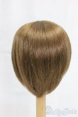 画像2: 9-10inch/ウィッグ/インチ　BJD　MJD　ドール用 I-25-12-21-061-KD-ZI (2)