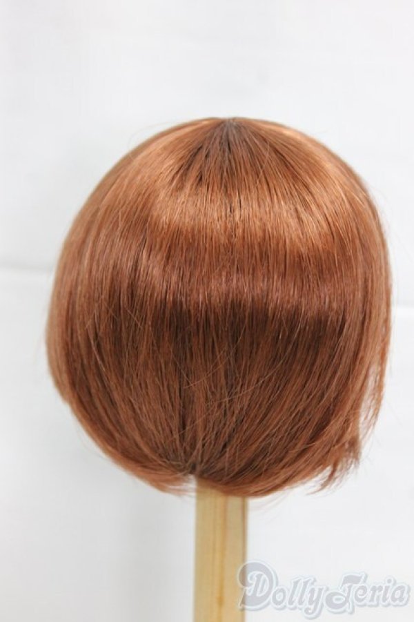 画像2: 9-10inch/ウィッグ/インチ　BJD　MJD　ドール用 I-25-12-21-059-KD-ZI (2)