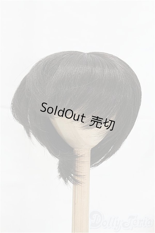 画像1: 9-10inch/ウィッグ I-25-12-07-198-KD-ZI (1)