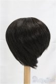 画像2: 9-10inch/ウィッグ I-25-12-07-198-KD-ZI (2)