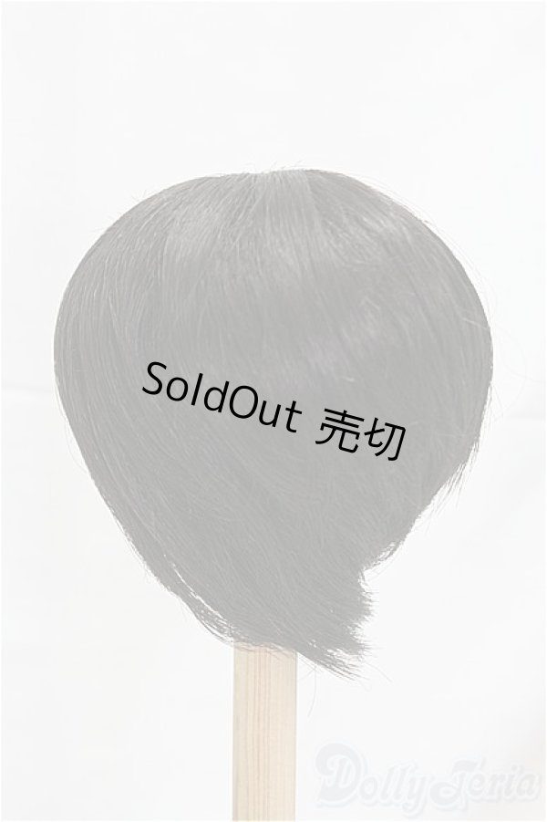 画像2: 9-10inch/ウィッグ I-25-12-07-198-KD-ZI (2)