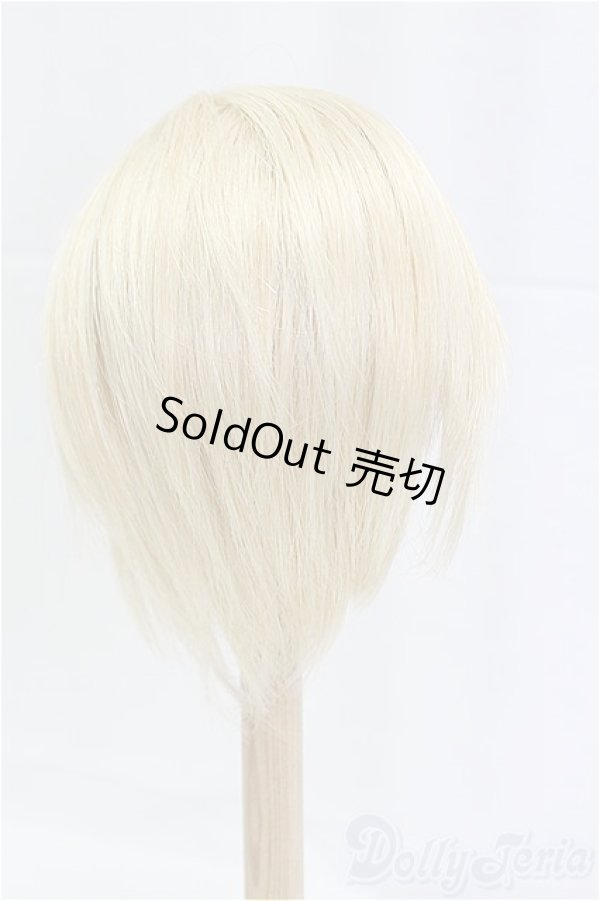 画像2: 9-10inch/ウィッグ I-25-12-07-149-KD-ZI (2)