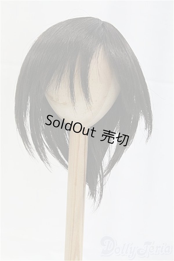 画像1: 9-10inch/ウィッグ I-25-12-07-145-KD-ZI (1)