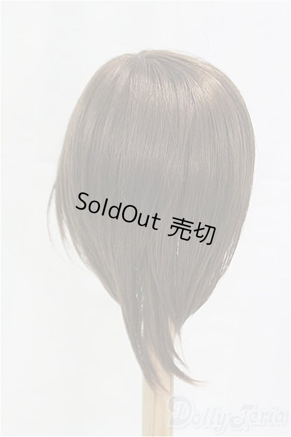 画像2: 9-10inch/ウィッグ/インチ　BJD　MJD　ドール用 I-25-11-02-136-KD-ZI (2)